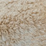 Hoe jij je huis winterproof maakt