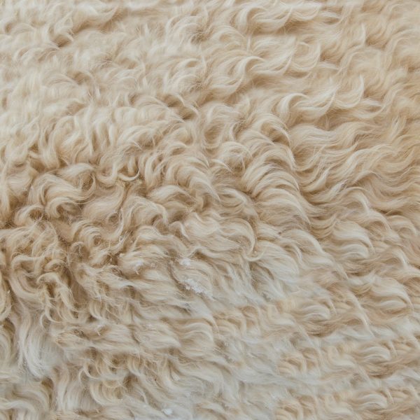 slaapkamer vloerkleed