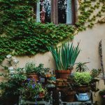 Antraciet plantenbakken: stijlvol, modern en tijdloos